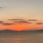 Stavros Classic 斯陶帕